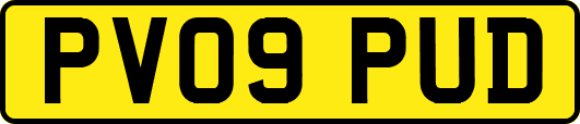 PV09PUD