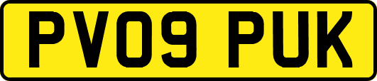 PV09PUK