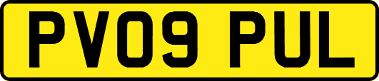 PV09PUL