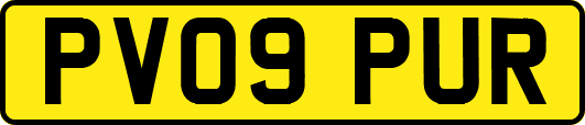 PV09PUR