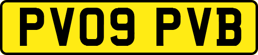 PV09PVB