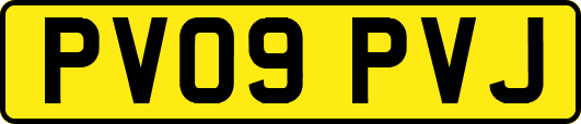 PV09PVJ