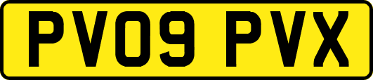 PV09PVX