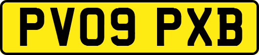 PV09PXB