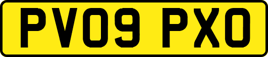PV09PXO