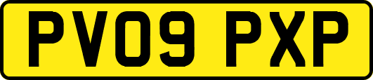 PV09PXP