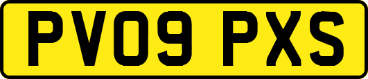 PV09PXS