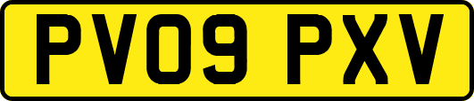 PV09PXV
