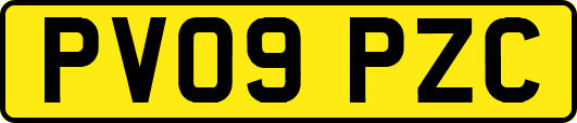 PV09PZC