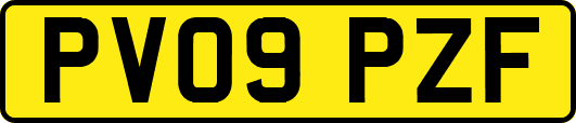 PV09PZF