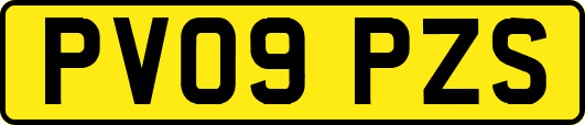 PV09PZS