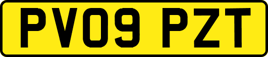 PV09PZT