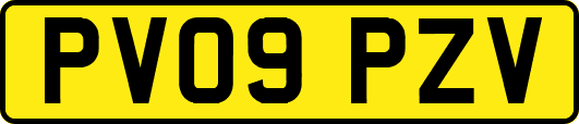 PV09PZV