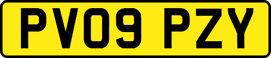 PV09PZY