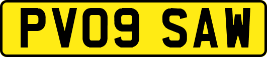 PV09SAW