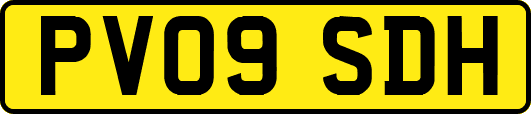PV09SDH