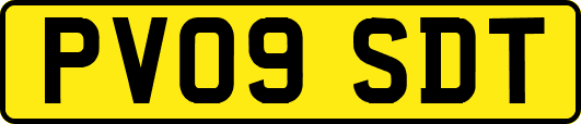 PV09SDT