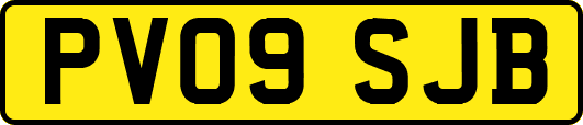 PV09SJB