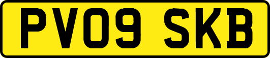 PV09SKB