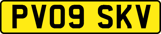 PV09SKV