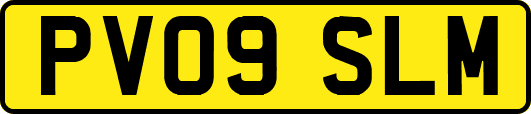 PV09SLM