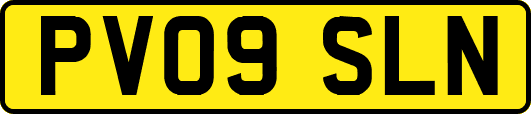 PV09SLN