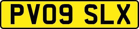 PV09SLX