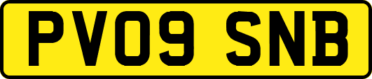 PV09SNB