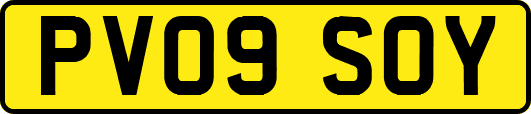 PV09SOY