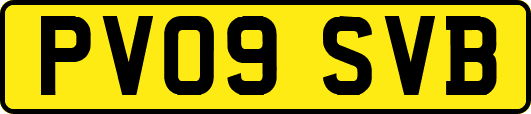 PV09SVB
