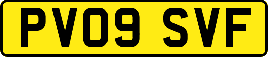 PV09SVF