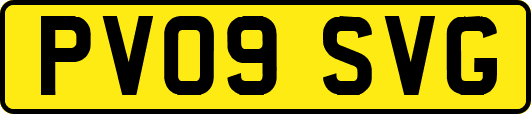 PV09SVG