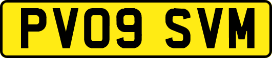 PV09SVM