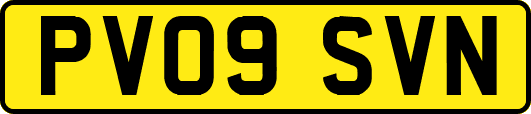 PV09SVN