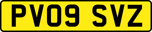 PV09SVZ