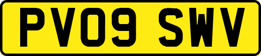 PV09SWV