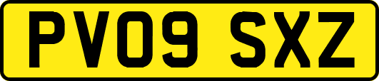 PV09SXZ