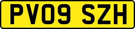 PV09SZH