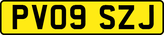 PV09SZJ