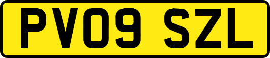 PV09SZL
