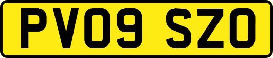 PV09SZO