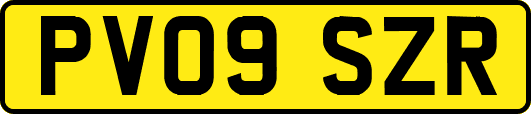 PV09SZR