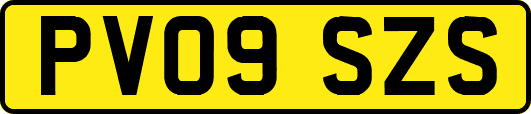 PV09SZS