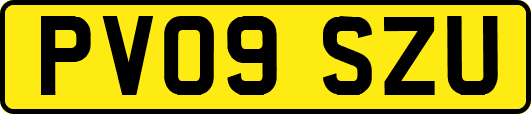 PV09SZU