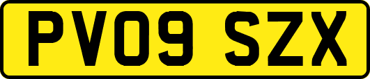 PV09SZX