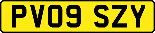 PV09SZY