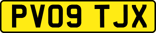 PV09TJX