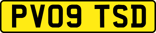 PV09TSD