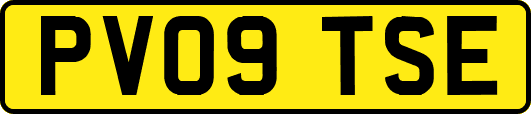 PV09TSE