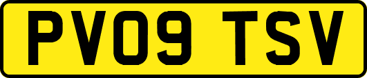 PV09TSV